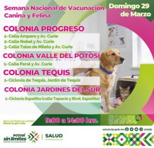 VACUNA A TUS MASCOTAS CONTRA LA RABIA