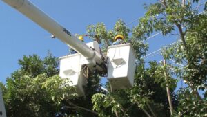 Ayuntamiento y CFE realizan poda preventiva en líneas de alta tensión