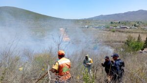 Estado responde de inmediato a incendio forestal en Ciudad del Maíz
