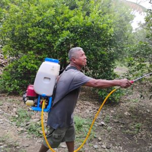 Impulsan capacitación sustentable para citricultores en Nexcuayo I