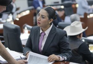 Propone Dip. Roxanna Hernández Ramírez reforma al Código Familiar para garantizar responsabilidad alimentaria del padre biológico