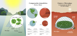¿Respirar en Marte? Las microalgas podrían hacerlo posible