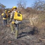 ESTADO ATIENDE INCENDIOS FORESTALES EN SANTA MARÍA DEL RÍO Y CÁRDENAS