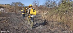 ESTADO ATIENDE INCENDIOS FORESTALES EN SANTA MARÍA DEL RÍO Y CÁRDENAS