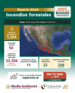 Estado mantiene monitoreo ante incendios forestales