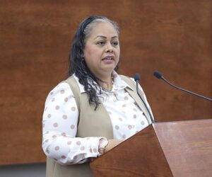 PROPONE DIP. GABRIELA MARTINEZ REFORMA AL CÓDIGO PENAL PARA RECONOCER Y SANCIONAR LAS DENOMINADAS CONDUCTAS DE FRAUDE O ENGAÑO PARENTAL