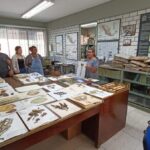 Herbario Isidro Palacios de la UASLP, patrimonio científico que resguarda la riqueza vegetal de San Luis Potosí