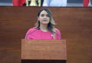 SE BUSCA EXHORTAR A LOS 59 AYUNTAMIENTOS A LA APLICACIÓN DE INSPECCIONES PERMANENTES EN BARES Y CENTROS NOCTURNOS PARA GARANTIZAR SEGURIDAD