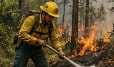 Bomberos Forestales Sierra de Tanchipa AC previene, reforesta y combate incendios.