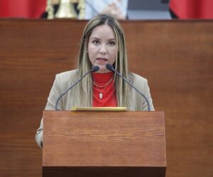INICIATIVA BUSCA REFORMAR EL CÓDIGO PENAL DEL ESTADO PARA AMPLIAR EL DELITO CONTRA LA SEGURIDAD VIAL