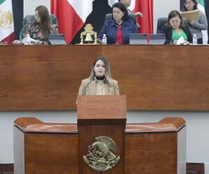 INICIATIVA BUSCA BRINDAR MAYOR CLARIDAD AL APARTADO DE VIOLENCIA DIGITAL, EN LA LEY DE ACCESO DE LAS MUJERES A UNA VIDA LIBRE DE VIOLENCIA.