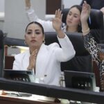 SE BUSCA INCORPORAR EL CONCEPTO DE PARTO HUMANIZADO DENTRO DE LA LEY DE SALUD DEL ESTADO