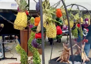 FENAPO 2026 PREPARA EL PROGRAMA “TIERRA GANADERA” PARA PRODUCTORES