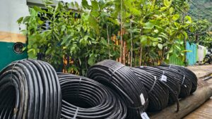 Gobierno de Tamazunchale impulsa reforestación y mejora el abasto de agua en Chilocuil