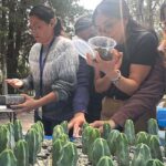 IPICYT impulsa la conservación de las cactáceas potosinas con talleres de germinación e injerto
