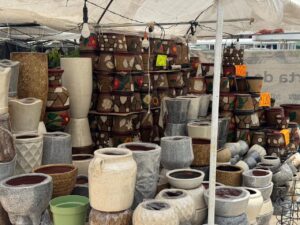 FENAPO 2026 estrena feria de las flores con productores de distintos estados