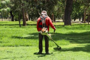 PARQUE JAPONÉS DEL TANGAMANGA I RECIBE MANTENIMIENTO INTEGRAL