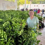 Matlapa impulsa la renovación de huertos con la entrega de más de 18 mil plantas de naranja