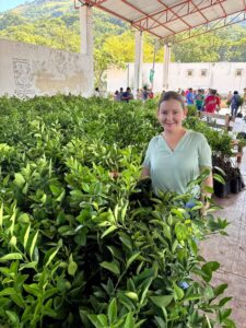 Matlapa impulsa la renovación de huertos con la entrega de más de 18 mil plantas de naranja