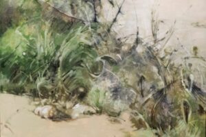  “SOMOS IMAGINARIOS DE LA NATURALEZA” LLEGA A REAL DE CATORCE