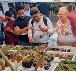 INVITAN AL 3er FESTIVAL DE LAS CACTÁCEAS EN EL MUSEO DEL FERROCARRIL