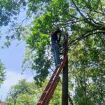 Gobierno municipal refuerza alumbrado público en las comunidades