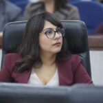 Se busca fortalecer el funcionamiento del Padrón Estatal de Personas Deudoras Alimentarias Morosas y garantizar su carácter público.