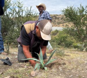 SEGAM REFORESTA CON 600 EJEMPLARES Y ENTREGA 200 ÁRBOLES FRUTALES