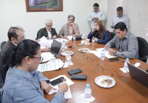 Se adicionan las definiciones de muerte fetal y muerte neonatal en la Ley de Salud del Estado.
