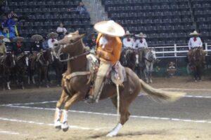 ARENA POTOSÍ RECIBE NUEVA JORNADA DEL CAMPEONATO NACIONAL CHARRO