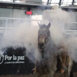 CONTINÚA ELIMINATORIA AA EN EL LXXXII CAMPEONATO NACIONAL CHARRO
