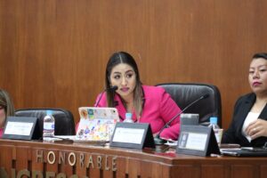 SAN LUIS POTOSÍ DESTINA 48.3 MILLONES DE PESOS A LA ATENCIÓN Y PROTECCIÓN DE LAS MUJERES: Roxanna Hernández Ramírez