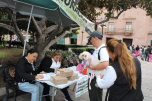 REALIZAN MEGA JORNADA DE ESTERILIZACIONES GRATUITAS EN SLP
