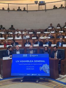 Aprueban la creación de la Comisión del Derecho de Autor y Propiedad Intelectual de AICO